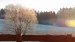 P_20161229_153459